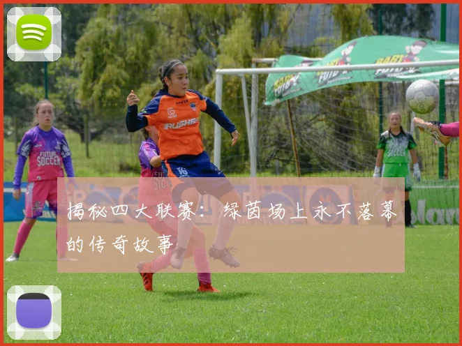 揭秘四大联赛：绿茵场上永不落幕的传奇故事